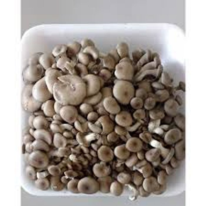 Cogumelo Shimeji bdj 200 g