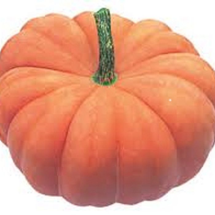 abobora moranga 54 k