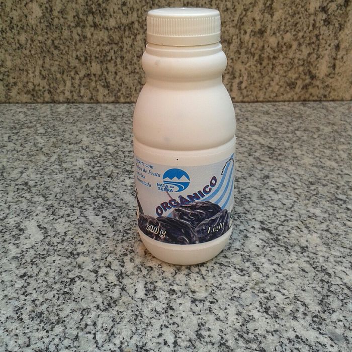 Iogurte Ameixa Preta Light 300 g