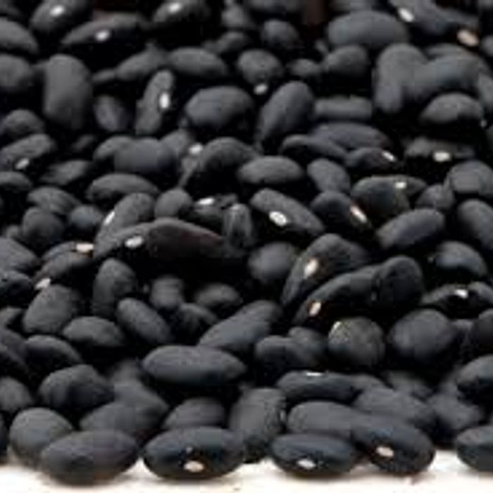 Feijão Preto 500 g - Terra