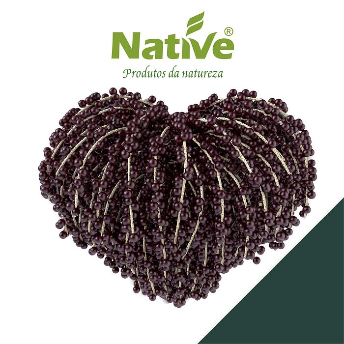 AÇAÍ COM GUARANÁ ORGÂNICO NATIVE 200ML