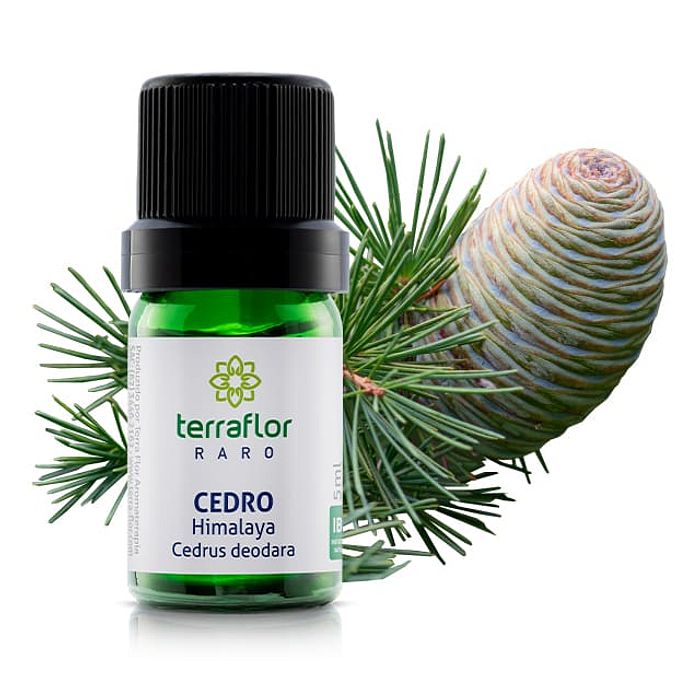 CEDRO DO HIMALAYA ÓLEO ESSENCIAL TERRA FLOR 5ML