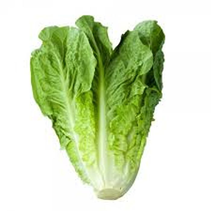 Alface Romana Orgânica (un.)