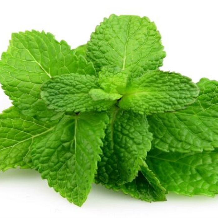 Hortelã Orgânica (30gr.)