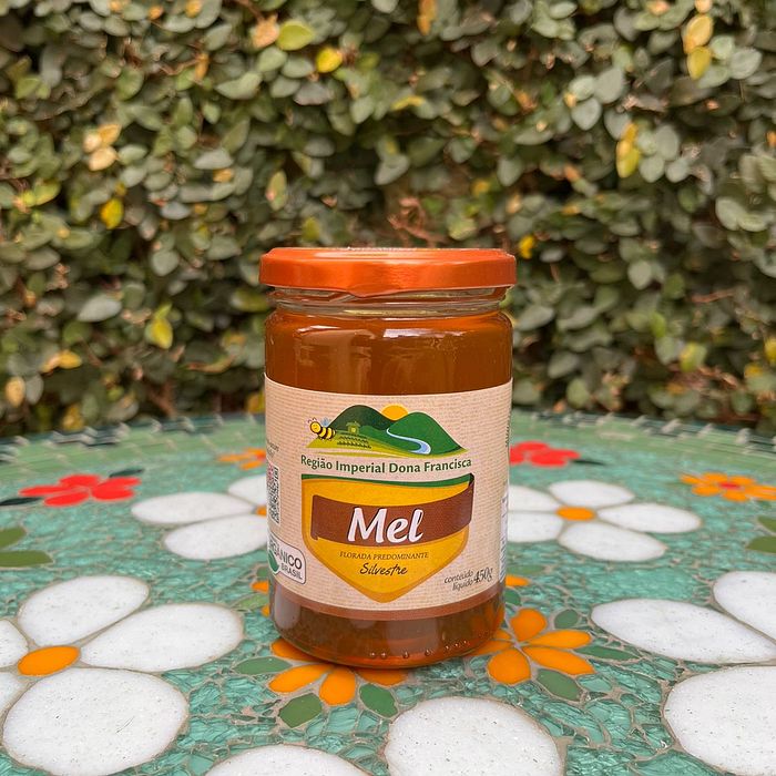 Mel Orgânico Pote Vidro (450 gr.) Mel Imperial Dona Francisca