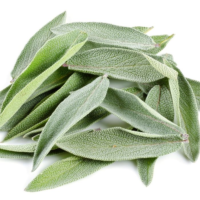 Salvia Orgânica (20gr.)