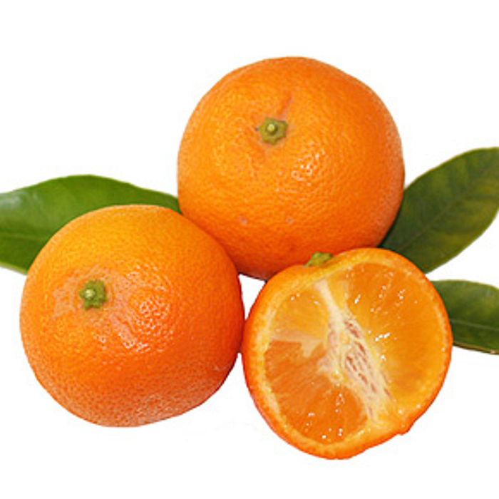 Limão Caipira Orgânico (500gr.)