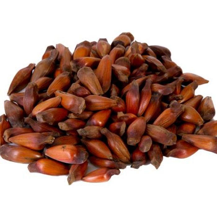 Pinhão (kg.)