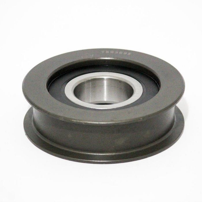 780309KI ROLDANA CORRENTE