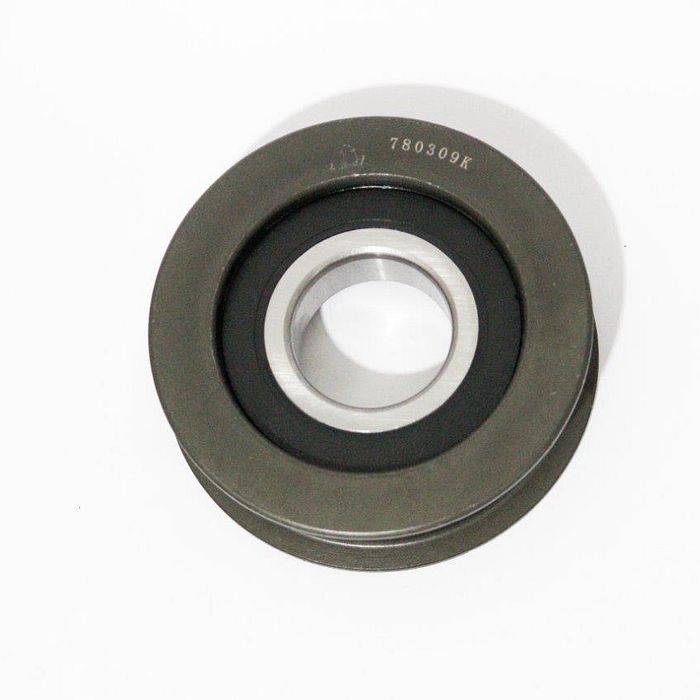 780309KI ROLDANA CORRENTE