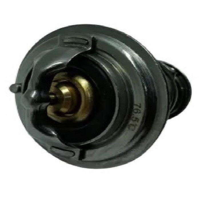 1599800 TERMOSTATO 60-70 VX/FT YANMAR