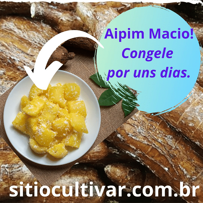 Aipim Orgânico Descascado Lavado e Congelado