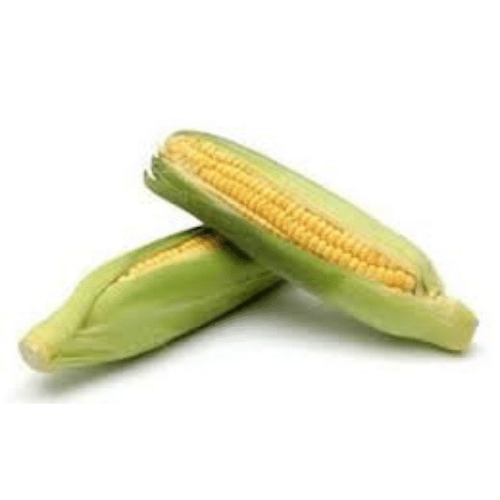 Milho Verde Orgânico