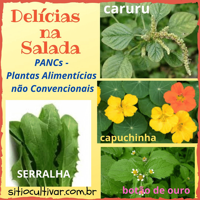 Capuchinha Orgânica