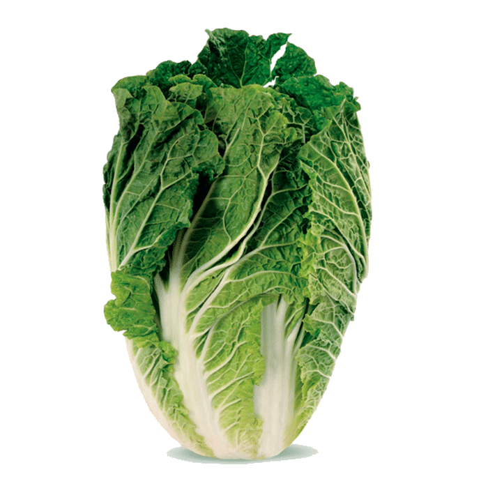 Couve Chinesa Orgânica