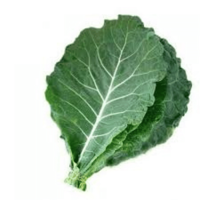 Couve Orgânica