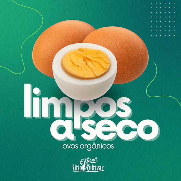 Ovos orgânicos com 30 unidades