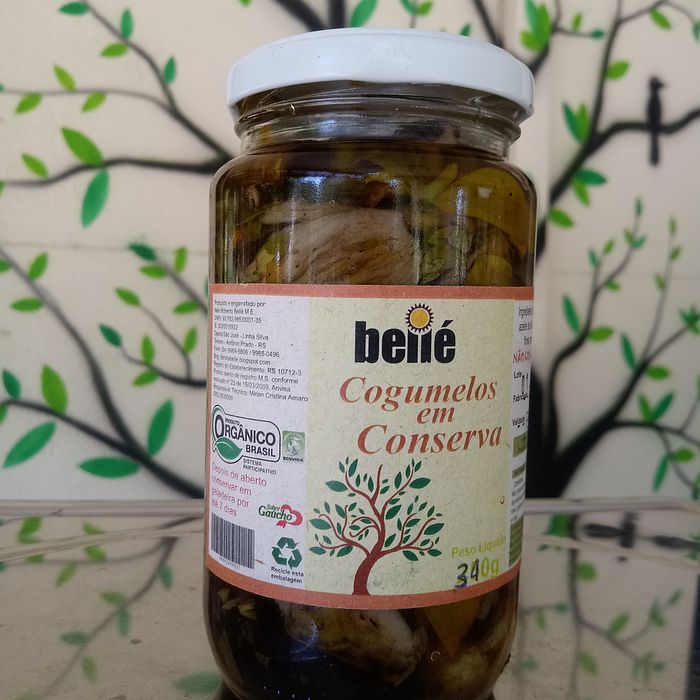 Cogumelos em Conserva Orgânico