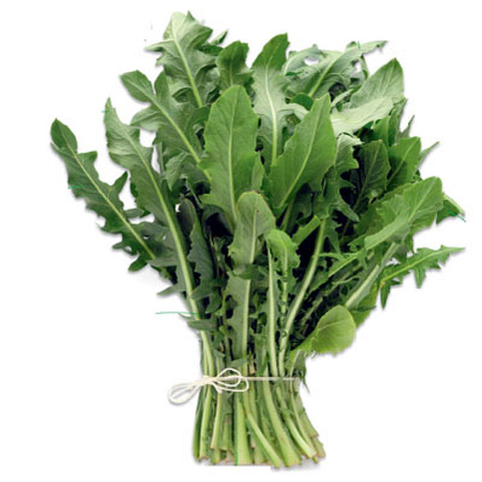 Dente de Leão Orgânico