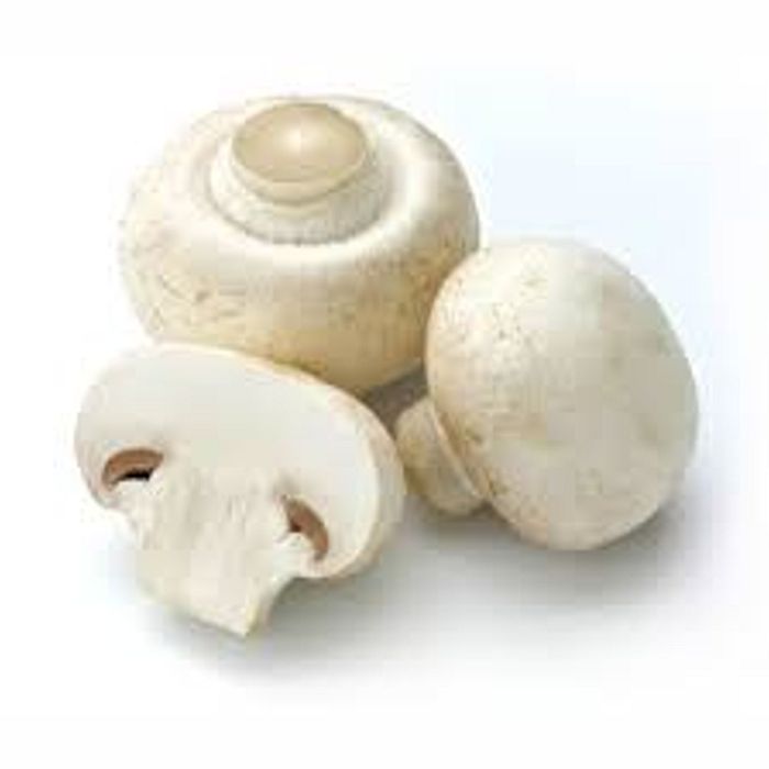 Cogumelo Paris Orgânico