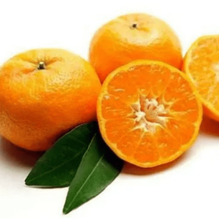 Bergamota Sem Sementes Orgânica 1kg