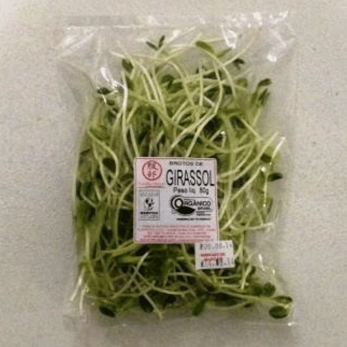 Broto de Girassol Orgânico