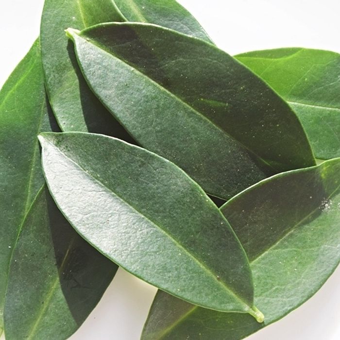 Ora Pro Nobis Orgânica