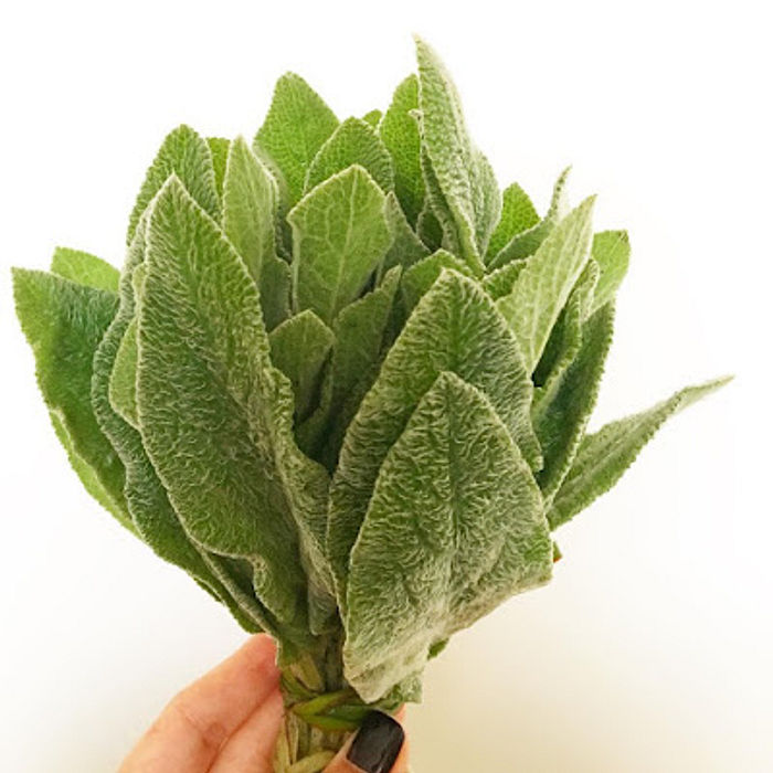 Peixinho da Horta Orgânico