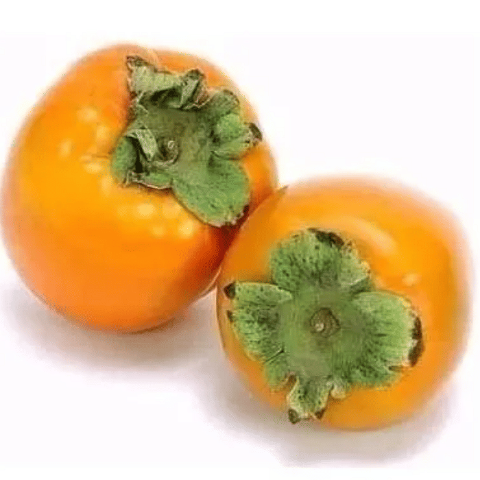 Caqui Chocolate Orgânico