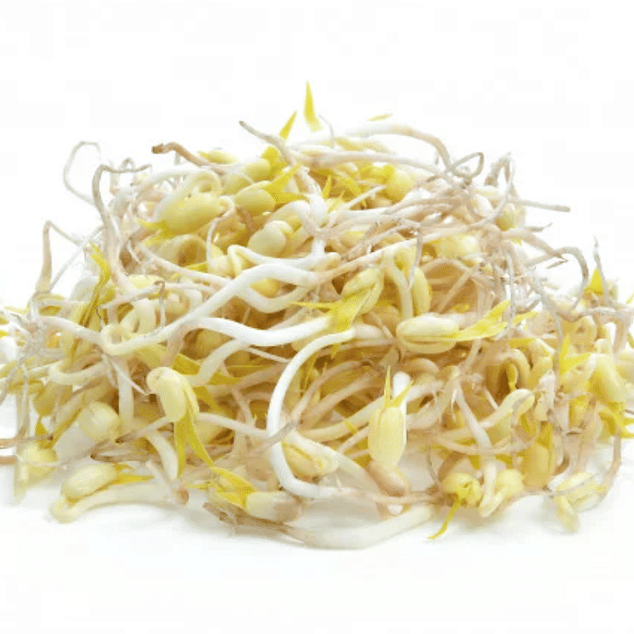 Broto de Feijão Orgânico