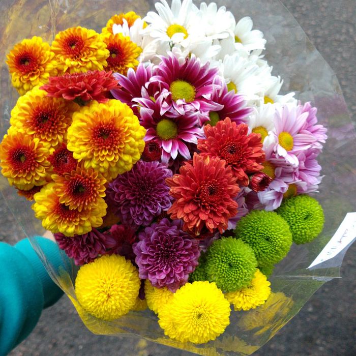 Buquê de Flores do Campo