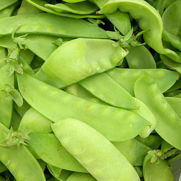 Ervilha torta (cerca de 250g)