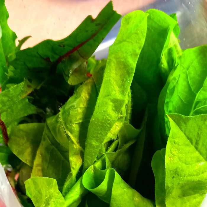 Salada higienizada de almeirão roxo + alface verde (200g)