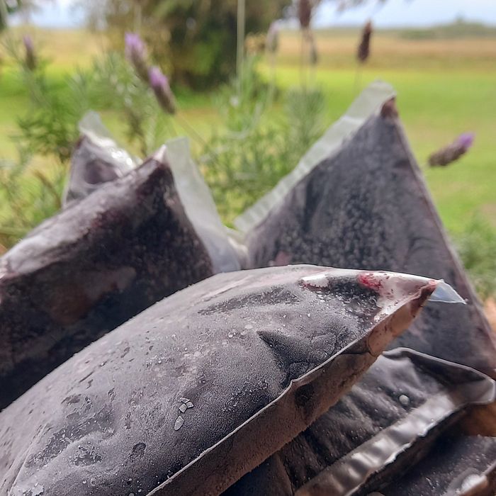 Açaí polpa (cerca de 250g)