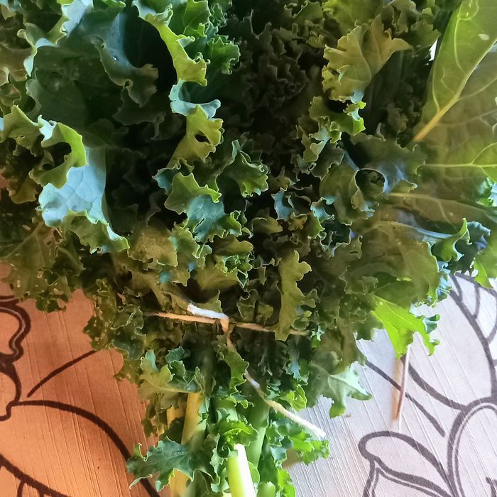 Couve kale