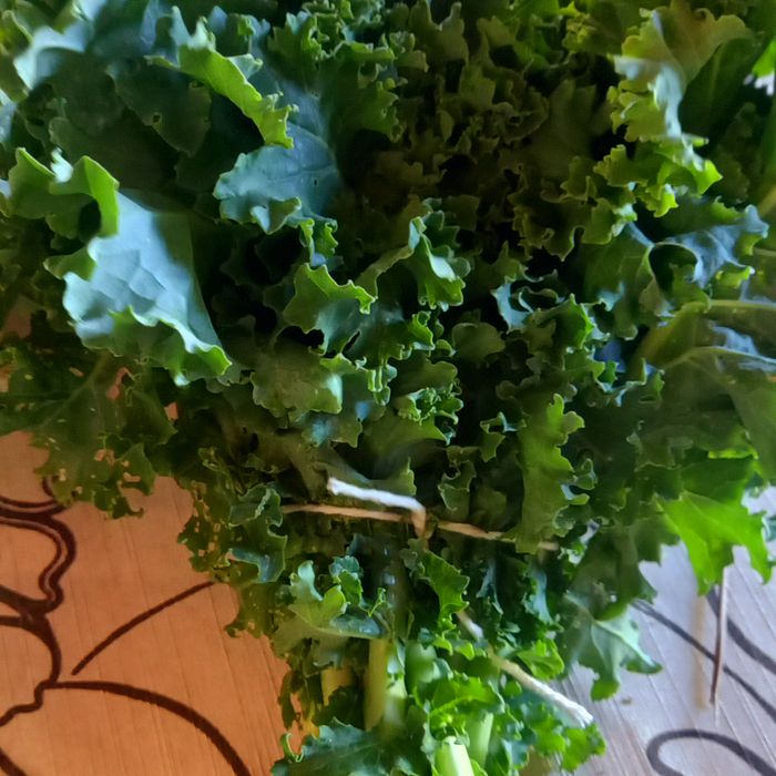 Couve kale