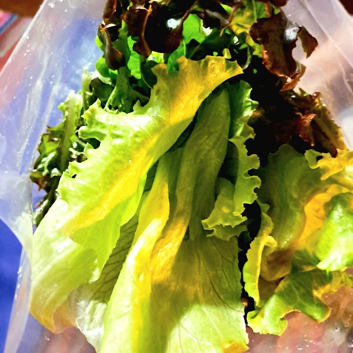 Salada higienizada de alface americana + alface mimosa (200g)