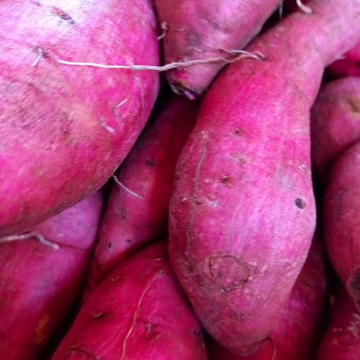 Batata doce rosa
