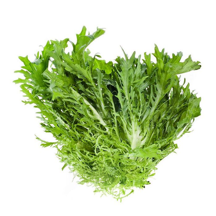 Alface Frizze Orgânico