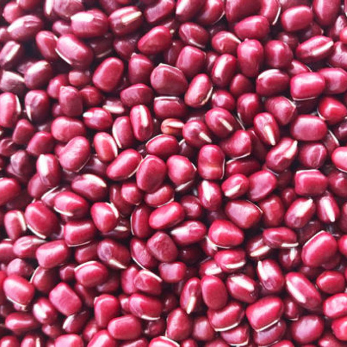 Feijão Vermelho Orgânico - 700 GRAMAS