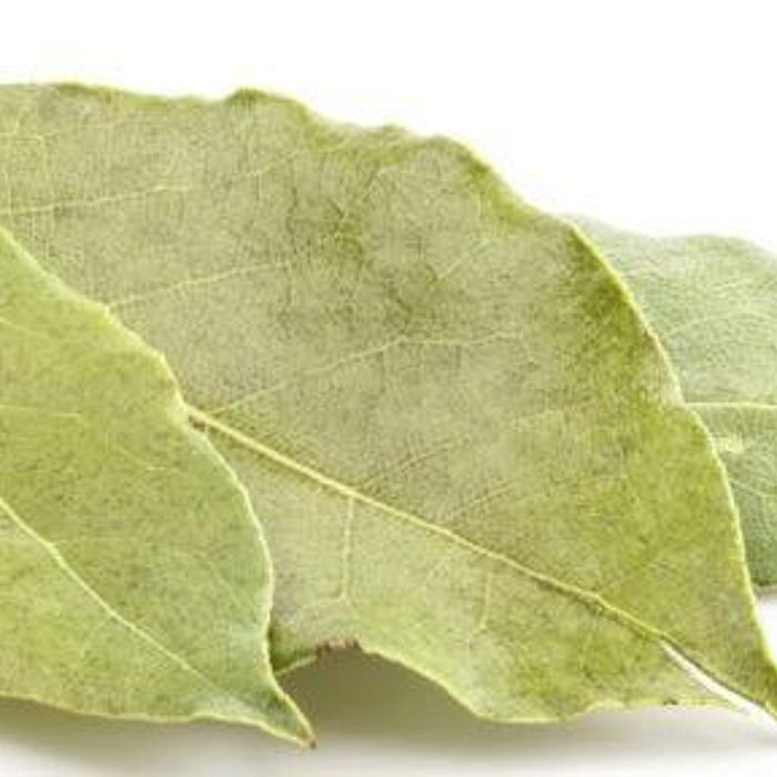 Louro Orgânico - Quintal Verde