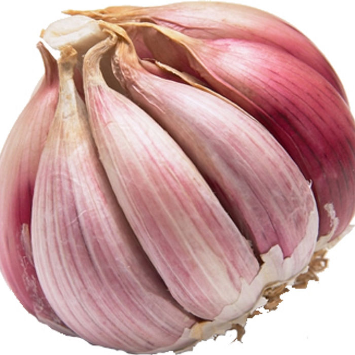 Alho Orgânico - em média 140 Gramas