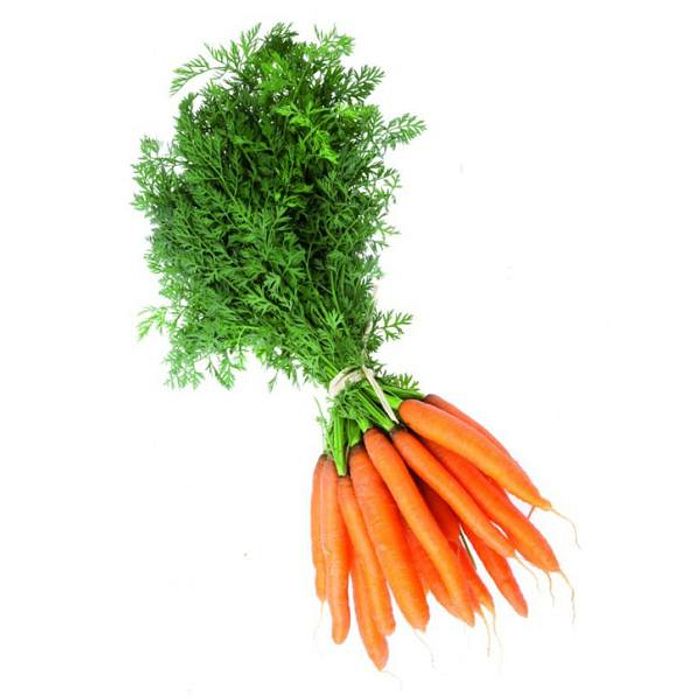 Cenoura Rama Orgânica