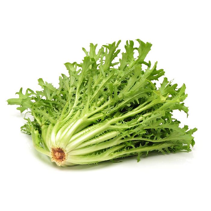 Chicória (Escarola) Orgânica