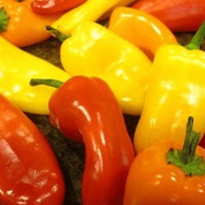 Mini Pimentãozinho Colorido Orgânico - em média 250 GRAMAS