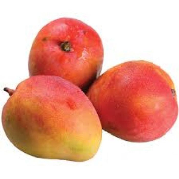 Manga Tommy Orgânica - UNIDADE (pedir por unidade)