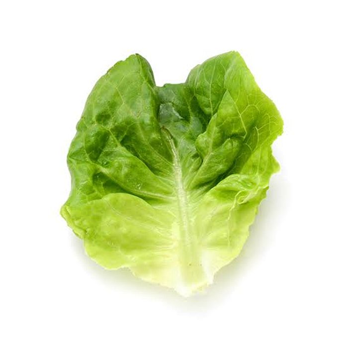 Alface Romana orgânica