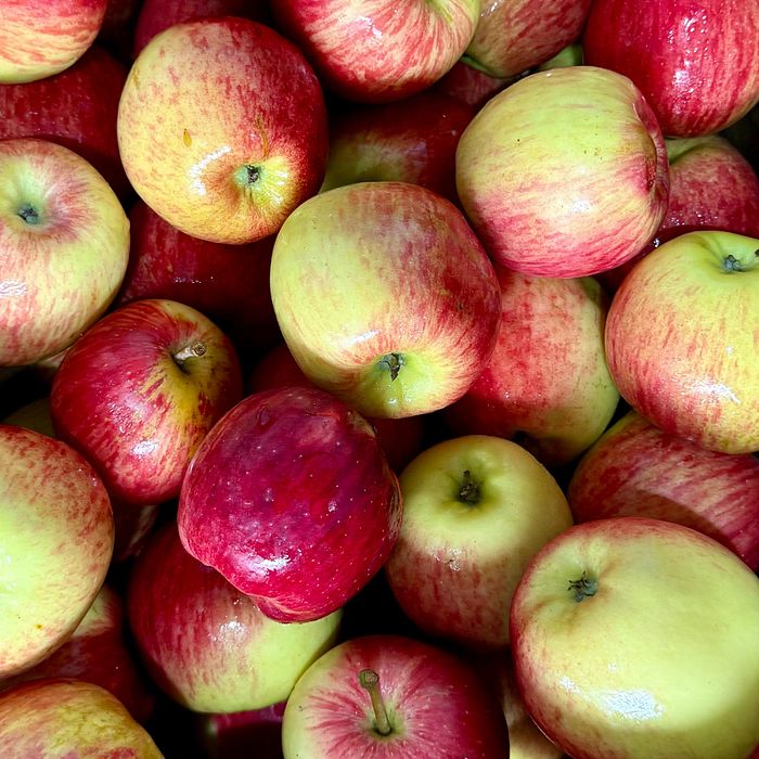 Maça Eva Orgânica -  em média 600 GRAMAS