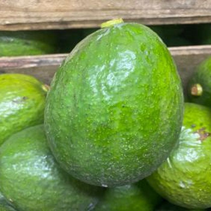 Abacate Orgânico - UNIDADE (pedir por unidade)