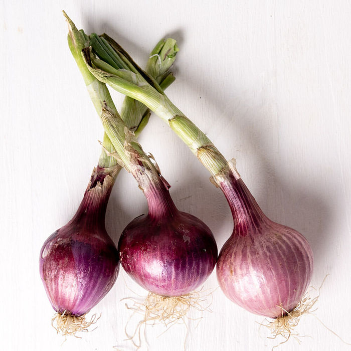 Cebola Roxa Orgânica Rama - Maço